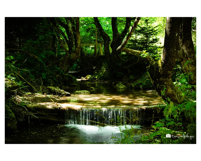 Natural Cascade & Stream