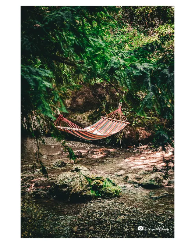 Streamside Pause